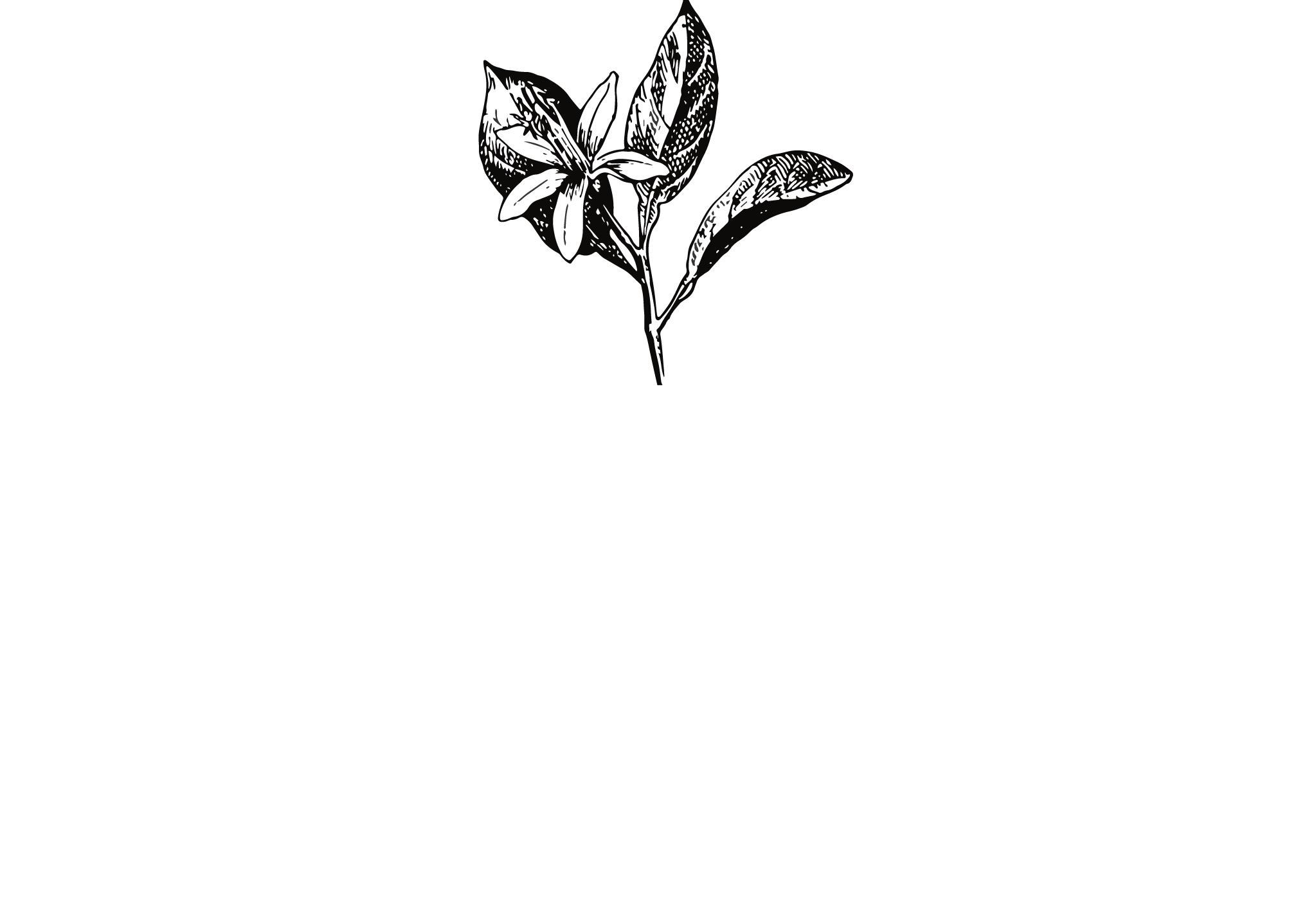 La Villa des Orangers Marrakech logo